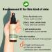 Organic Acne Tea Tree Mist - USDA Certified | TheAromaShop | Facial & Body Spray | Natural Ingredients | 3.38 fl. oz | Korea Atonanda - Buy Online on GoSupps.com