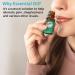 Buy Wild Essentials Cedarwood Essential Oil - 100% Pure Therapeutic Grade 10ml - Calming & Grounding - Made in USA - Buy Online on GoSupps.com