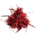 Flower Feather Bead Corsage Hair Clips Fascinator Hairband and Pin (Burgundy)