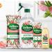 Zoflora Multipurpose Disinfectant Cleaner Tulip & Peach Blossom 800ml - Buy Online on GoSupps.com
