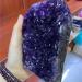 Natural geode Quartz CrystalsStones Uruguay Amethyst Cluster for Home Decoration NaturalCrystal Household qiangang (Color : 1pcs Size : 500-900g) 500-900g 1pcs - Buy Online on GoSupps.com