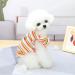 Shop Barrageon Dogs Kneid Princess Rock Clothing for Medium Pets - Summer Bowknot Outfit in Yellow (30 cm Back Length) - Buy Online on GoSupps.com