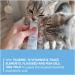GimCat EXPERT LINE Kitten Paste - Development and Growth Support Snack - 50g Tube - Buy Online on GoSupps.com