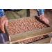 Organic Tiger Nut Ground - 1kg | Certified Plant-Based Chufas | Vinativo - Buy Online on GoSupps.com