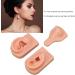 Silicone Ear Model Soft Silicone Nose Model Silicone Body Parts for Piercing Practice Silicone Flexible Model Human Ear Model for Jewelry Display Teaching Instructions (#1) - Buy Online on GoSupps.com
