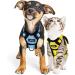 Breakproof Cat Leash Set & Adjustable Soft Kitten Vest - Reflective Stripes Yellow Size S | Durable Dishes for Small Kittens - Buy Online on GoSupps.com