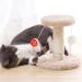 Premium Cat Tree with Plush Seats & Sisal Scratch Column | Climbing Furniture for Cats | International Shipping Available - Buy Online on GoSupps.com