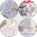 10Pcs Bo tes de Correcteurs Transparentes Six Compartiments Forme Fleur de Prunier 5 5X5 5X1Cm R sistantes L'Usure pour Rouge Ongles DIY - Buy Online on GoSupps.com