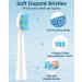 Rechargeable Sonic Electric Toothbrush for Adults and Kids - 8 Brush Heads, 120 Days Use, 5 Modes, 2 Min Timer - Family Gift - White - Buy Online on GoSupps.com