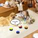 DHQKQG Dog Training Buzzer Set 4 Interactive Recording Buttons for Potty Communication & Cleanliness Training | International Shipping Available - Buy Online on GoSupps.com