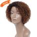 Short Ombre Kinky Curly Wig for Black Women - Glueless Human Hair Wig with Bangs - Buy Online on GoSupps.com