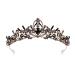 Lovelyshop Royal Crystal Pricess Wedding AlloyTiara Headpiece for Wedding Prom Birthday Rose Gold