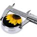 Wild Sunflower Round Pill Box - 3 Compartment Mini Decorative Pocket Organizer for Travel & Vitamins - Buy Online on GoSupps.com