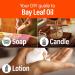 H ana Essential Laurel Oil 30 ml - Spicy Herbaceous Fragrance for Diffuser & Hair | Premium Essential Oil by Bayleaf - Buy Online on GoSupps.com