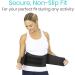 Vive Lower Back Support Brace - Adjustable Lumbar Belt for Heavy Lifting, Herniated Disc, Sciatica Relief - Compression Posture Device for Men & Women - Black (Waist Size 2...) - Buy Online on GoSupps.com