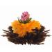 Creano Tea Blower - 36 Blooming Black Tea Balls | Large Bulk Pack for Flowering Tea Lovers - Buy Online on GoSupps.com
