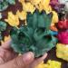 Gems for Decoration 260g Natural Crystal Green Ghost Crystal Cluster Aura Crystal - Buy Online on GoSupps.com