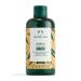 The Body Shop Ginger Scalp Care Shampoo   For Dry  Flaky Scalp   With Vegan Silk Protein   250ml Shampoo 250ml