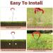 Sturdy Dog Tie Out Cable and Stake Set with 3m Leash - Ideal for Medium to Large Dogs - Red - Buy Online on GoSupps.com
