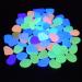 220 Multi-Colored Fluorescent Stones for Garden & Aquarium | Bright Glowing Decorative Stones for Pathways Flower Beds and More - Buy Online on GoSupps.com