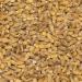 Wholefood Earth Organic Dried Pearl Barley 500g - Vegan, GMO Free, High Fibre & Protein - Certified Organic - Buy Online on GoSupps.com