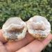 1pair Beautiful Natural Agate Geode Crystal Little Geode Cluster Rare Gem Home Decoration Collection for Gifts - Buy Online on GoSupps.com