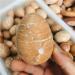 Natural Magic Natural Peach Moonstone Sphere Quartz Crystal Stone Eggs Reiki Decoration Gift PEIQIYIN Full of Texture