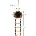 Hanging Coconut Bird House with Ladder - Natural Fiber Shell Nest for Birds - Swing Toys & Accessories for Parakeets, Finches & Canaries - Buy Online on GoSupps.com