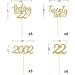 24pcs Feeling 22 Cupcake Toppers Twenty Two Birthday Cake Decorations Cheer to 22 Years Old Theme Party Decoration Supplies (Gold) - Buy Online on GoSupps.com