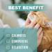 The Gym Initiative Calming Treats For Cats - Reduce Stress Fear Separation Anxiety Hyperactivity Reactivity Aggression L-Tryptophan Valerian root L-theanine - Buy Online on GoSupps.com