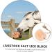 Balacoo Animal Lick Salt Block Livestock Licking Salt Livestock Salt Block Livestock Natural Salt Livestock Supplies Hanging Livestock Salt Food Salt Licking Block Nutrition Snack - Buy Online on GoSupps.com