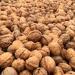Buy 5Kg Whole Raw French Walnuts - New Harvest 100% Natural & Untreated - Buy Online on GoSupps.com