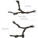 4 PCS Natural Grape Stick Fork Bird Perch for Parrot Cages - Chewable Toy for Cockatiels, Parakeets, Finches - Buy Online on GoSupps.com