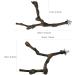 Allazon Natural Wood Bird Rods & Swing Toys - 4 Piece Parrot Playset for Birds - Ideal Bird Toys - Buy Online on GoSupps.com