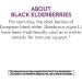 Sambucus Kids Cough Syrup - HoneyBerry Flavor | Nature's Way 4 fl oz - Buy Online on GoSupps.com