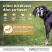 Wellness Core Original Senior Natural and Grain-Free Senior Dog Food for All Sizes Turkey/Chicken 1.8 kg - Buy Online on GoSupps.com