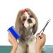 Kamm Dog's Tick Removal & Flea Protection Tool - Blue (3) | Pet Comb for Cats & Dogs - Buy Online on GoSupps.com