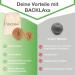 Backlaxx Fascia Ball Set - Sustainable Cork Massage Balls (5cm & 7cm) with Storage Bag | Antibacterial Self-Massage Tool & Free eBook on Trigger Points - Buy Online on GoSupps.com