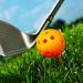 THIODOON Practice Golf Balls 12 Pack - Limited Flight Hollow Plastic Training Balls - Colored Airflow for Swing Practice - Indoor & Outdoor - Buy Online on GoSupps.com
