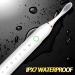 Apartment 2 Cards 2 Pack Sonic Electric Toothbrush - 6 Modes, 42000vpm, IPX7 Waterproof, 8 Brush Heads - Black+White - Buy Online on GoSupps.com