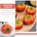 Alipis 30 Pcs Artificial Tomato Artifical Plant Photo Display Artificial Vegetables Decoration Tomato Photography Props Artificial Fruits Faux Fruit Fake Foods Toys Foam Decorations Mini Redx2pcs 7.5x7.5cmx2pcs - Buy Online on GoSupps.com