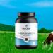 Extreme 100% Pure Whey Isolate Protein w BCAA (Chocolate) 2 Lb - Buy Online on GoSupps.com