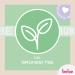 BEBE Matting Care 50ml - Light Moisture Face Cream for Combination Skin | Green Tea Facial Care - Buy Online on GoSupps.com