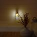 Yankee Candle Pumpkin Arrangement ScentPlug Diffuser - Top International Shipping & Best Prices - Buy Online on GoSupps.com