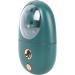 Facial Mist Sprayer Silent ABS Cute Animal Face Mist Humidifier USB Rechargeable 500mah for Office (Green) - Buy Online on GoSupps.com