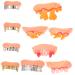 Beatifufu 10 Stk Halloween-Cosplay teeth Vampire teeth Requisite News Trick teeth Creepy teeth evil teeth false teeth false teeth halloween-zestzen costume teeth pvc toys