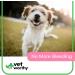 Vet Worthy Styptic Powder for Dogs and Cats - Stop Bleeding Fast! - Buy Online on GoSupps.com