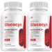 Glucocyn Capsules Glucosyn Advanced Supplement All Natural Formula to Maintain Healthy Levels Maximum Strength Glycogen Support Reviews (2 Pack - 120 Capsules)