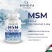 Buy Bandini MSM 2000mg - Methylsulfonylmethan with Vitamin C | 200 Vegan Tablets | High-Dose No Additives Lab Tested | International Shipping Available - Buy Online on GoSupps.com