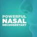 berkley jensen No Drip Severe Congestion Nasal Spray - Maximum Strength Decongestant with Oxymetazoline HCl & Menthol - Pump Mist Applicator No Steroid 12 Hour Relief 1 Fluid Ounce (Pack of 2) 1 Fl Oz ( PACK OF 2) - Buy Online on GoSupps.com